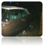 collage_image