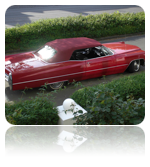 collage_image