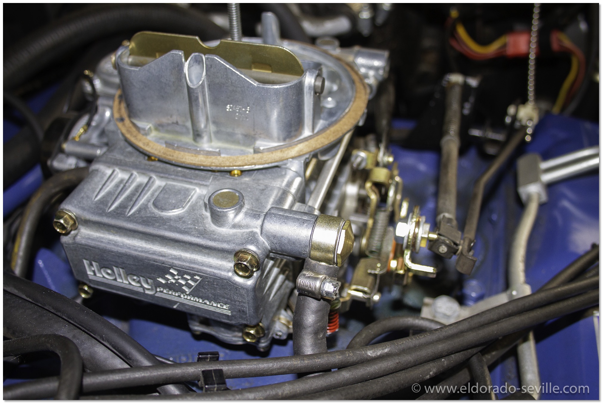 Holley Carburetor on car