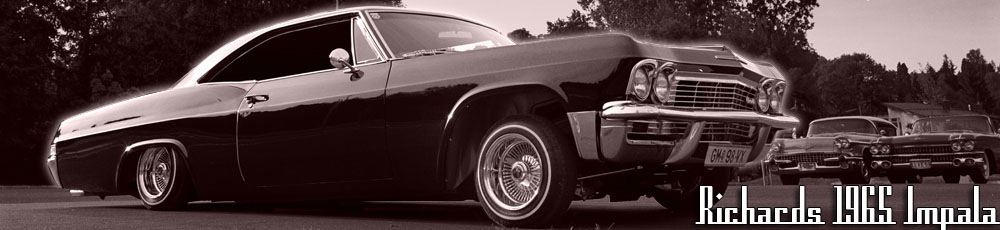 header image 5