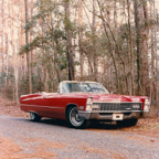 67-SteveCreel.jpg