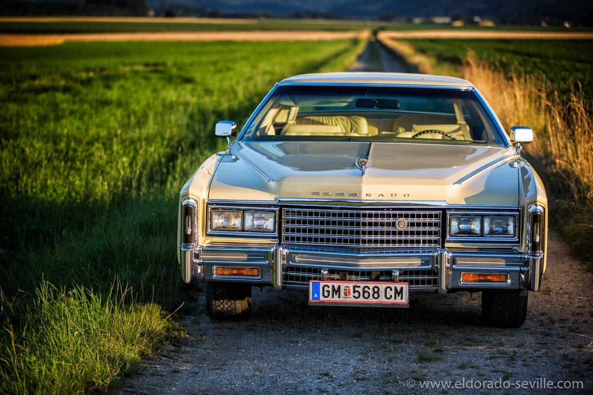 Photoshooting during sunset - July 2016