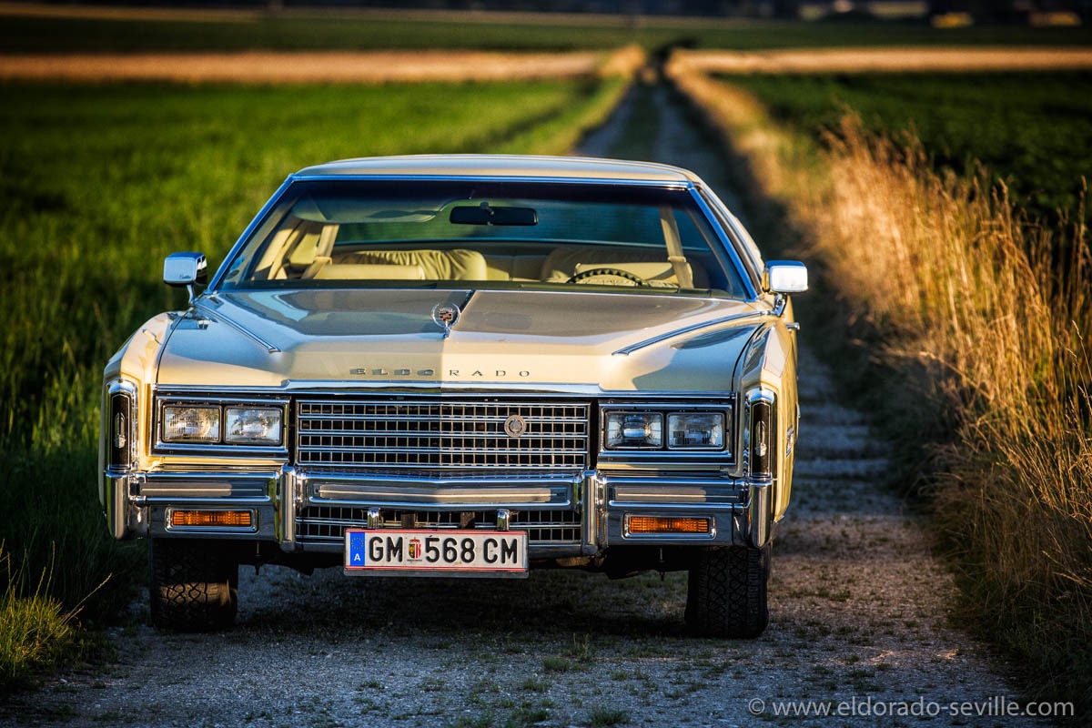 Photoshooting during sunset - July 2016