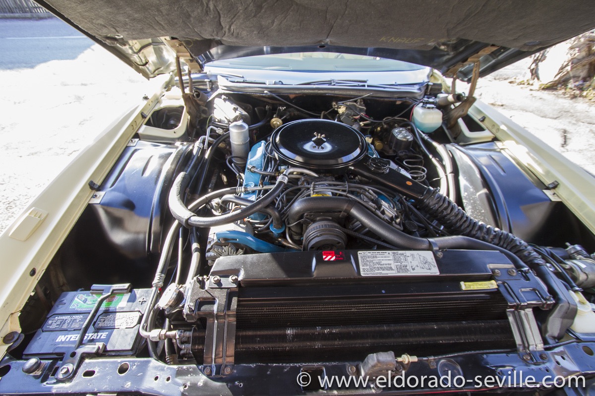 perfect engine bay