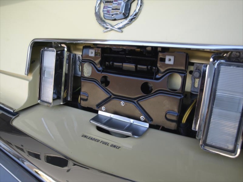 rear license door