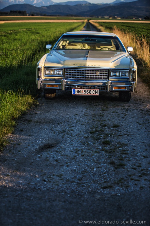 78photoshooting2016_FST9631-Bearbeitet.jpg