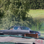 mostkostbig_MG_9349.jpg