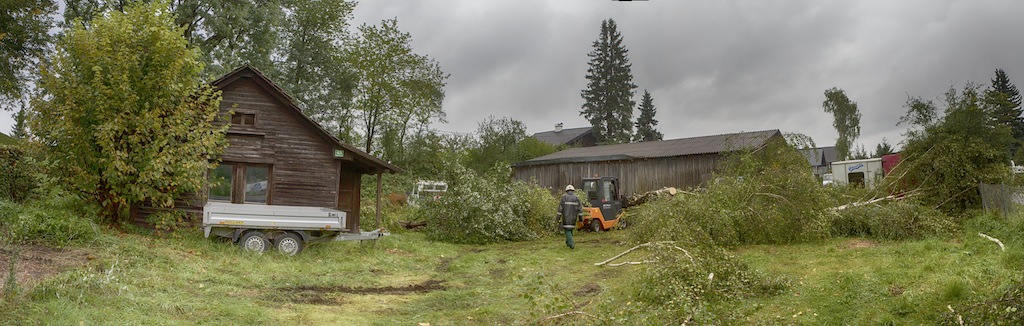 trees are cut down - work started on September 13th 2012