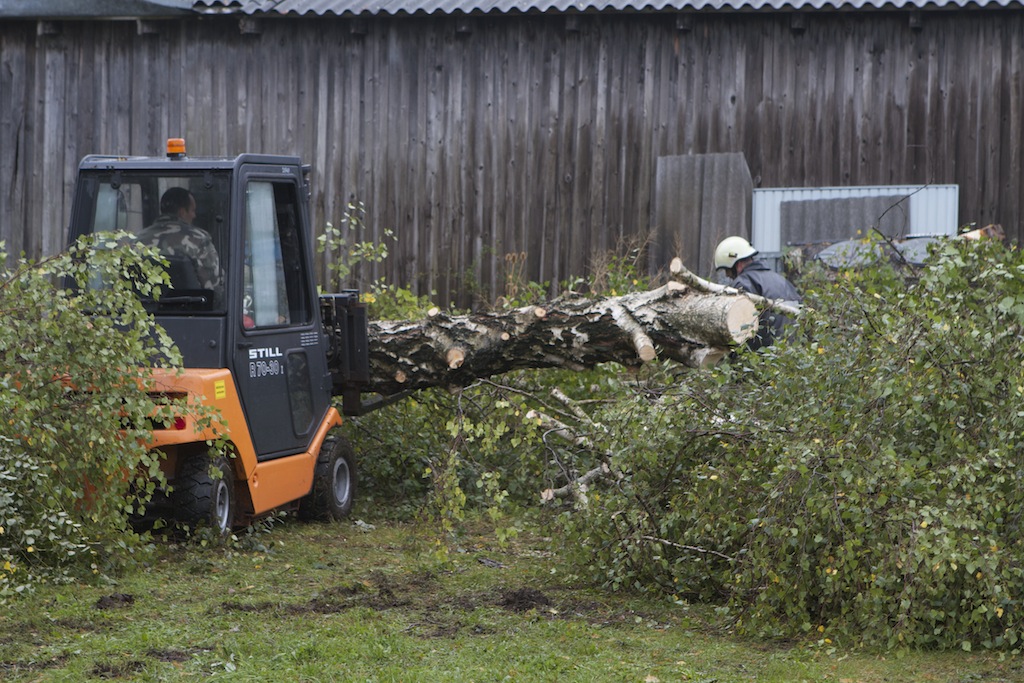 cleaning up the property