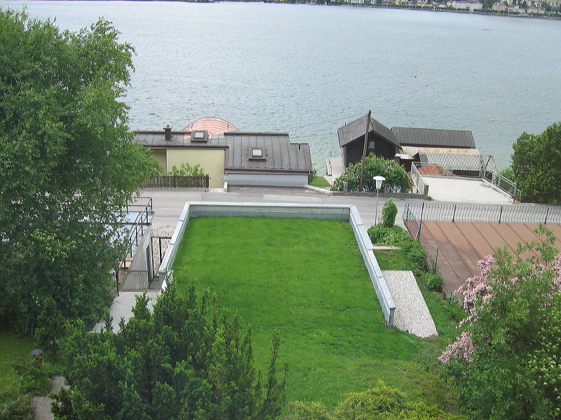 grass grew fast on the new roof