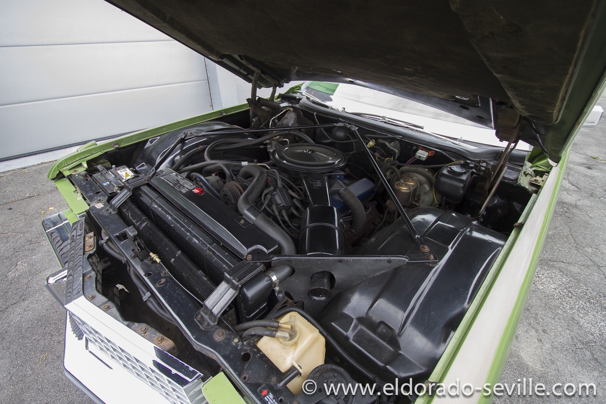 very nice and clean original engine bay - before cleaning it up.