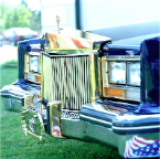81frontdetail.jpg