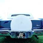 81rear.jpg