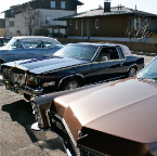 _MG_5082.JPG.jpg