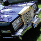 P1010030.jpg